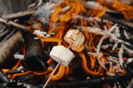 Marshmallow on a stick fried at a stake over a fireの写真素材