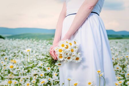 Girl in a white dress in a chamomile field holds in her hands a large bouquet of daisies at sunset, close-upの写真素材