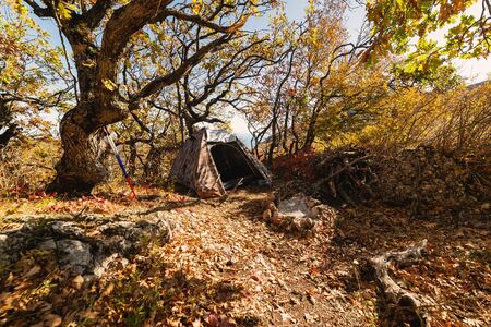 Camping tent in the camp in the parking lot, concept vacation, camping, tourism, active lifestyleの写真素材