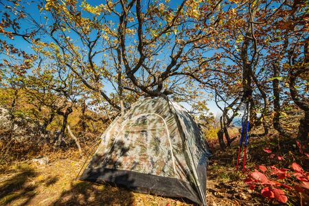 Camping tent in the camp in the parking lot, concept vacation, camping, tourism, active lifestyleの写真素材
