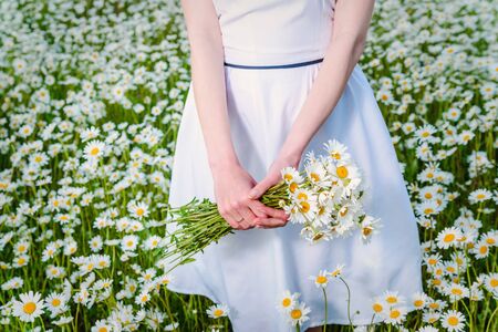 Girl in a white dress in a chamomile field holds in her hands a large bouquet of daisies at sunset, close-upの写真素材