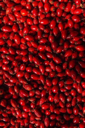 Bright ripe rosehips evenly spread on the tableの写真素材