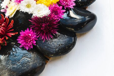 Wet black stones with chrysanthemum buds, decor for spa, relaxation and massageの写真素材