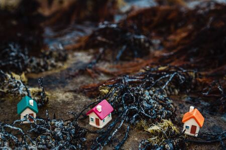 Three small houses on the sea coast, housing conceptの写真素材