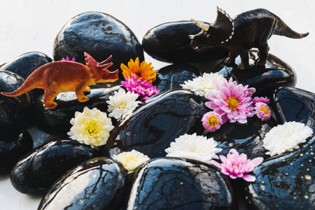 Wet black stones with chrysanthemum buds and small toy dinosaurs, decor for spa, relaxation and massageの写真素材