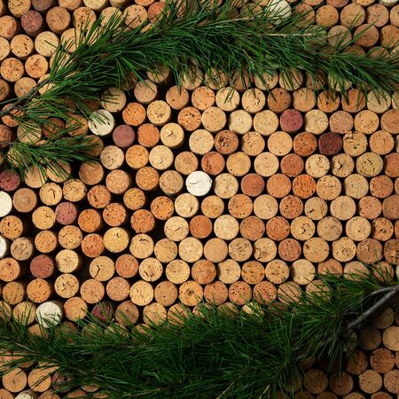 Background from cork wine corks with pine branches, festive conceptの写真素材