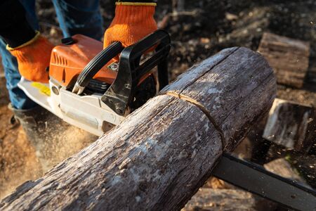 Man is sawing a large log with a chainsaw, close-up, harvesting firewoodの写真素材