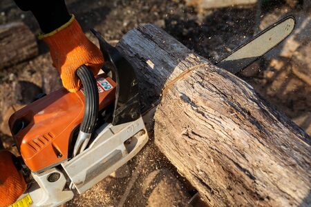 Man is sawing a large log with a chainsaw, close-up, harvesting firewoodの写真素材