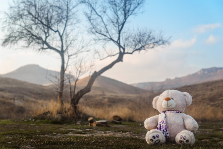 Teddy bear toy sitting under a tree in the mountainsの写真素材