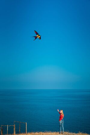 Girl on a mountainside by the sea launches a kite on a sunny dayの写真素材