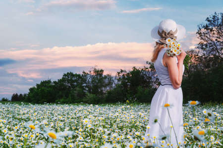Girl in a hat and white dress with a bouquet of white wild daisies in a chamomile fieldの写真素材