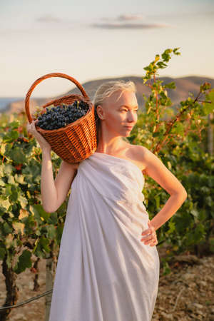 Girl in a toga with a basket of grapes in the vineyardの写真素材