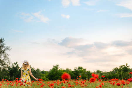 Blonde girl in a black bodysuit with a white hat walks in a rapeseed field, having fun, view from the backの写真素材