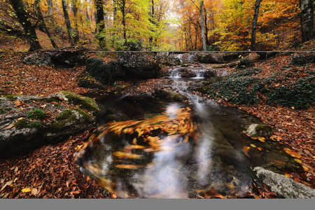 Waterfall in autumn forest with red foliage