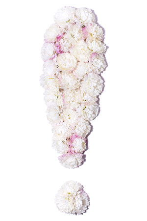 Arabic numerals from white chrysanthemums on white background, isolateの写真素材