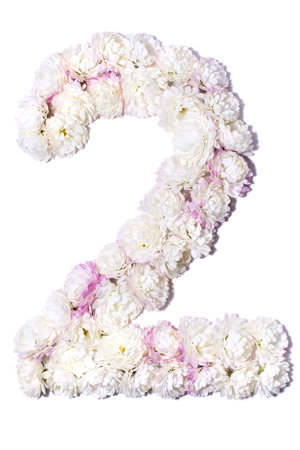 Arabic numerals from white chrysanthemums on white background, isolateの写真素材
