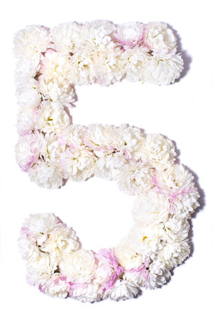 Arabic numerals from white chrysanthemums on white background, isolateの写真素材