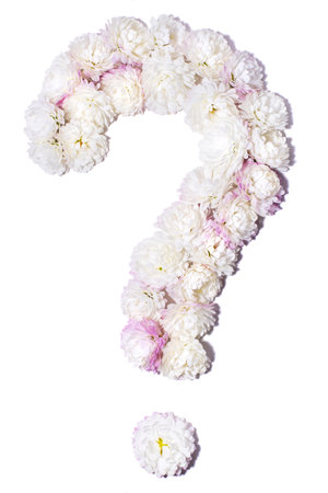Arabic numerals from white chrysanthemums on white background, isolateの写真素材
