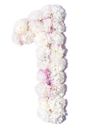 Arabic numerals from white chrysanthemums on white background, isolateの写真素材