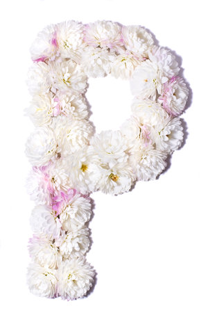Letter of the English alphabet made of chrysanthemum flowers on a white backgroundの写真素材