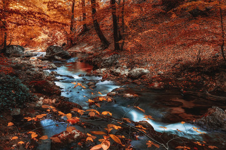 Bench in the autumn forest, a quiet place to relax and take a walkの写真素材