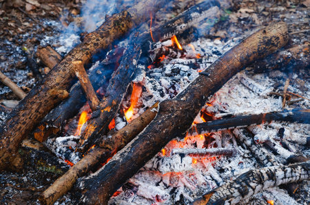 Bonfire in the autumn forestの写真素材