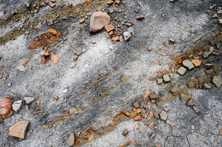 Gray clay soil surface that is cracked and dry. There are scattered rocks and stones of various sizes and shapes in the image. The color of the stones ranges from reddish-brown to grey. The image is likely taken on a sunny day, as the soil appears dry and cracked.の写真素材