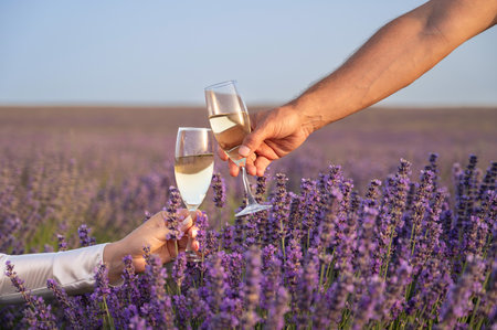 Two people are holding up glasses of wine in a field of lavender flowers. The sun is shining brightly and the sky is a clear blue. The couple is enjoying their time together in the beautiful outdoors.の写真素材