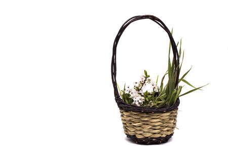 Easter basket with flowers and grass isolated on white.の写真素材