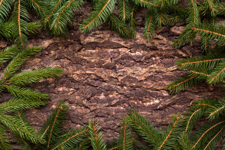 Christmas tree on wooden background.
