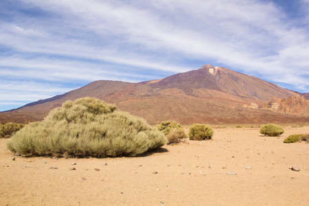 View of Mount Teide. Teide National Park, Tenerife, Canary Islands, Spain.の写真素材