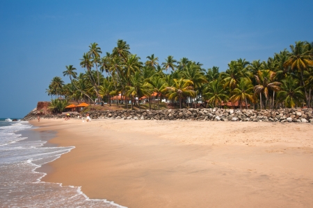 View of the Varkala beach, beach hotel located in a coconut grove behind the breastworkの写真素材