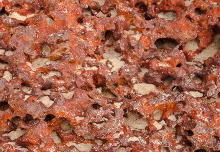 Texture of red stone of shell whis sandの写真素材