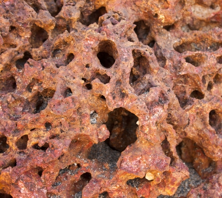 Texture of red stone of shellの写真素材