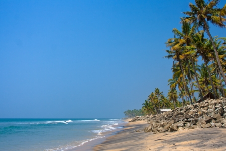 The beach with black sand, rocks and palm trees  Varkala, Kerala, Indiaの写真素材
