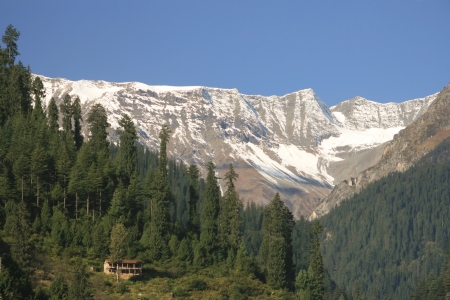The mountain valley covered pine forest  Kullu, Himachal Pradesh, India の写真素材