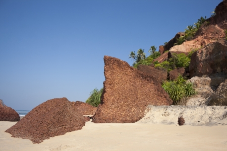 Large a shell rock on the beach  Varkala, Kerala, India の写真素材