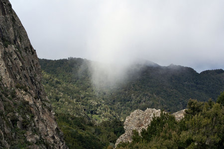 Rain Shower in the Mountain,La Gomera,Canary Islands