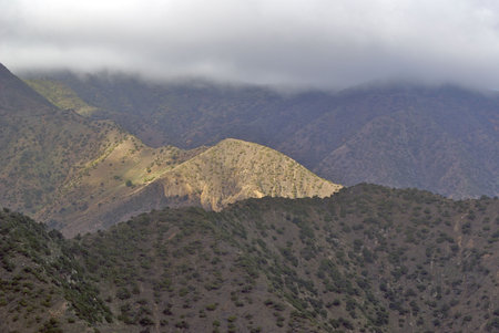 LaGomera with steep mountains,sun light and vegetation in the forsestの写真素材