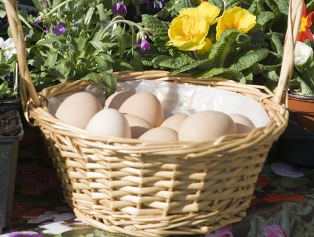 Farm eggs in a basket with spring flowersの写真素材