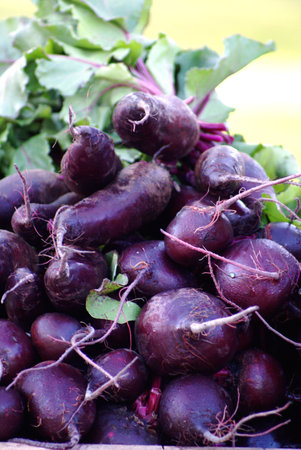 Pile of fresh raw purple beets