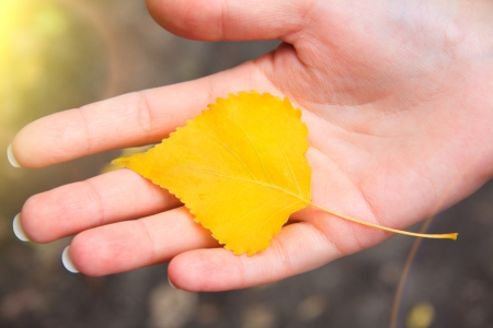 Autumn leaf on the palm, close-upの写真素材
