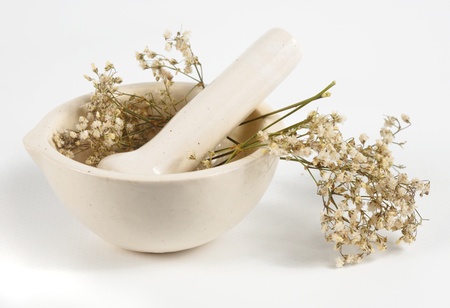 Dried herbs in white mortarの写真素材