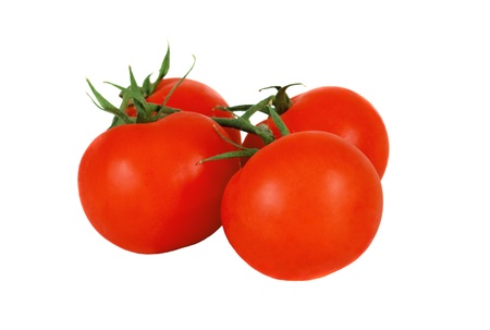Four red tomato on white backgroundの写真素材