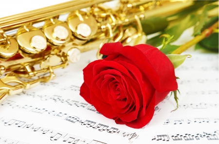Musical notes and saxophone with flowerの写真素材