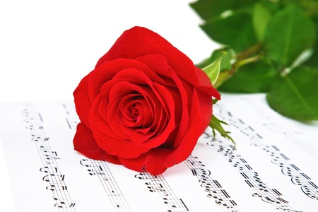 Rose and music sheets with notesの写真素材