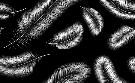 Seamless background with white feathers on black background, isolatedのイラスト素材