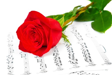 Rose and music sheets with notes, isolated on whiteの写真素材