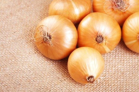 Group of onions on the background of burlap, close upの写真素材