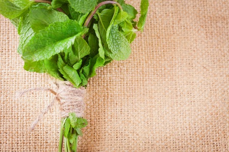 Fresh mint bunch on a  burlap backgroundの写真素材